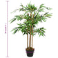 Gerviplanta „Twiggy“ Bambusplanta með Potti 90 cm